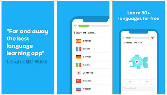 doulingo 1 - Top French Learning Apps for Android