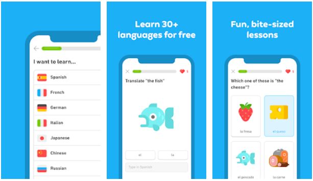 doulingo - Top Language Learning Apps for Android