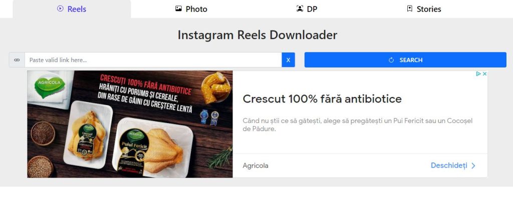 instafinsta - Best Online Instagram Reels Downloader For Free